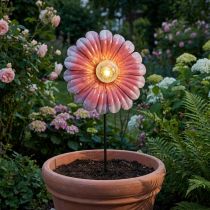 gjenstander Solar LED Blomsterhagelys LED Metall Rosa Ø30cm