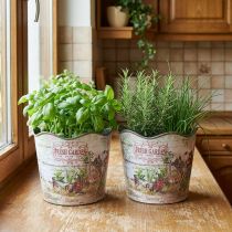 gjenstander Urtepotte blomsterpotte plast Fresh Garden H13,5cm 2stk