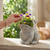 gjenstander Frosk dekorativ plantepotte blomsterpotte betong grå H18,5cm