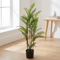 gjenstander Fern i pottegrønn 80cm