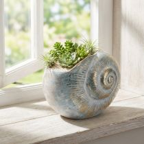 gjenstander Dekorativ snegleformet beholder for maritim og naturlig veggdesign, grå, 21 cm