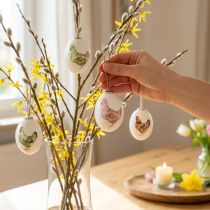 gjenstander Påskeegg plast med kyllinggrønn brun 3,5-5,5cm 24 stk