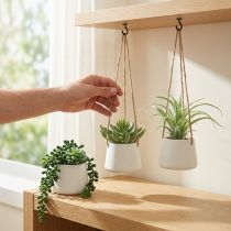 gjenstander Hengende kurver sukkulenter kunstgrønn assortert 18cm 3stk