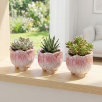 gjenstander Mini plantekasse keramisk potteblomst assortert Ø8cm H7cm 3stk