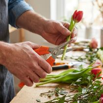 gjenstander Blomstersaks for presis blomsterklipping og blomsterdekorasjon
