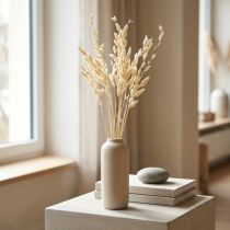 gjenstander Flatøret gress Chasmantium Champagne 70cm 10 stk