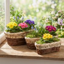 gjenstander Plantebrett, naturlig tre, 3-farget, L29,5/25/23 cm, sett med 3
