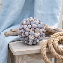gjenstander Dekorativ kule, skjelldesign, naturlig maritim dekorasjon, Ø19 cm
