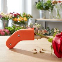gjenstander Rosetornfjerner i rustfritt stål, torneløs, 80ES, oransje, for blomsterhandlere