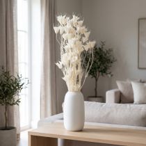 gjenstander Tørkede Nigella-blomster, bukett med elegant naturlig dekorasjon for eksklusivt interiør, 70 cm, 50 g