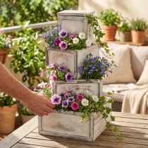 gjenstander Plantekasse treskuff antikk look krem 24/20/16/12cm sett med 4