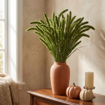 gjenstander Tørkede blomster, Setaria Pumila, børstehår hirsegrønn 75 cm 200 g