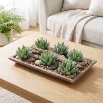gjenstander Sukkulent Echeveria Ø6,5cm L11cm 6 stk