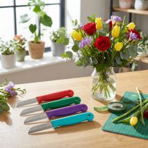 gjenstander Blomsterhandlerkniv 15cm 10 stk - farge tilfeldig