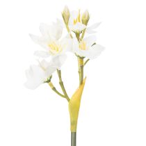 gjenstander Påskeliljegren for sesongbaserte bryllupsarrangementer, vakker, 33 cm, 6 stk.