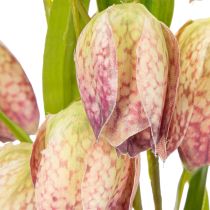 gjenstander Kunstig fritillariablomst, delikat dekorasjon for oppholdsrom, 60 cm, 3 stk.