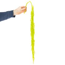 gjenstander Revehale tørkede blomster, farget, for spesiell hjemmedekorasjon og unike detaljer, 100 cm, 5 stk.