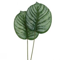 Calathea kunstig kurv Marante kunstige planter Grønn 51cm
