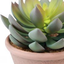 gjenstander Sukkulentplante i potte Echeveria kunstgrønn årgang Ø15cm H16cm