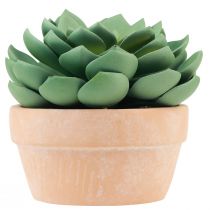 gjenstander Sukkulent plante i potte Echeveria kunstgrønn Ø15cm