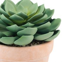 gjenstander Sukkulent plante i potte Echeveria kunstgrønn Ø15cm