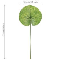 gjenstander Galax Urceolata Blader Kunstgrønn Ø10cm L23cm 12 stk
