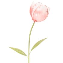 gjenstander Hageblomst dekorativ tulipan for blomsterbed og kanter 94 cm