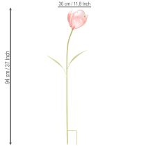 gjenstander Hageblomst dekorativ tulipan for blomsterbed og kanter 94 cm
