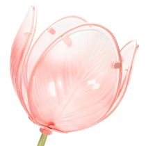 gjenstander Hageblomst dekorativ tulipan for blomsterbed og kanter 94 cm