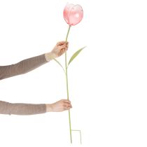 gjenstander Hageblomst dekorativ tulipan for blomsterbed og kanter 94 cm
