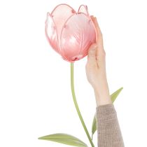gjenstander Hageblomst dekorativ tulipan for blomsterbed og kanter 94 cm