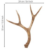 gjenstander Kunstige gevir, naturtro, rustikke, 32 cm
