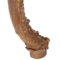 gjenstander Kunstige gevir, naturtro, rustikke, 32 cm