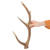 gjenstander Dekorative kunstige gevir, rustikk hyttedekorasjon, 50 cm