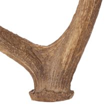 gjenstander Dekorative kunstige gevir, rustikk hyttedekorasjon, 50 cm