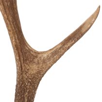 gjenstander Dekorative kunstige gevir, rustikk hyttedekorasjon, 50 cm