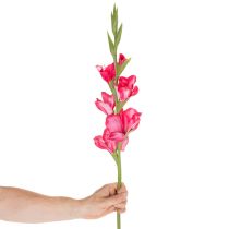 gjenstander Kunstig gladiolase med dekorative blomster, 88 cm
