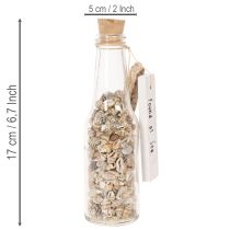 gjenstander Glassflaskedekorasjon med skjell og anheng, maritim borddekorasjon, 17 cm, 2 stk.
