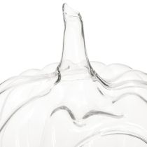 gjenstander Glassgresskar med åpning, høstdekorasjonsgresskar, klart, Ø21 cm, H20 cm