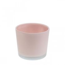 Blomsterpotte glass plantekasse rosa glassbalje Ø10cm H8,5cm