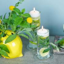 gjenstander Glassvase med base, klar, Ø6 cm, H25 cm