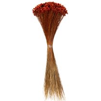 gjenstander Tørket blomsterbukett, et sjarmerende tillegg til vaser eller arrangementer, 44 cm