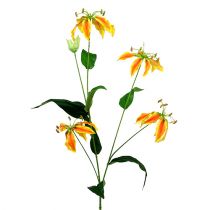 Gloriosa gren oransje-gul 90cm 1st