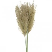 Tørket gress prydgress for tørr floristisk dekorasjon natur H55cm