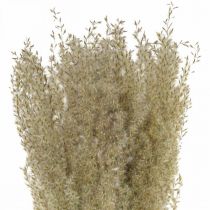 Tørket gress prydgress for tørr flora dekorasjon natur H55cm