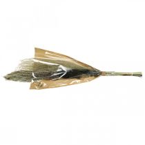 gjenstander Tørket gress i en haug Tørr floristics Tørr bukett H70cm