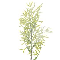 gjenstander Dekorativ aspargesgren, naturlig tilskudd til blomsterbuketter, 34 cm, 7 stk.