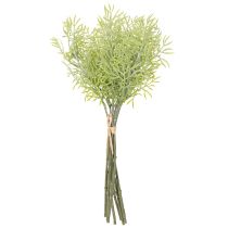 gjenstander Dekorativ aspargesgren, naturlig tilskudd til blomsterbuketter, 34 cm, 7 stk.