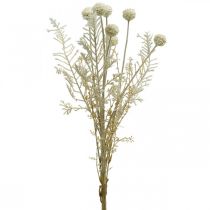 Tørt gress kunstig pampas gress allium krem, beige H60cm