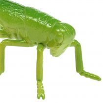Gresshoppe grønn 11cm 1p
